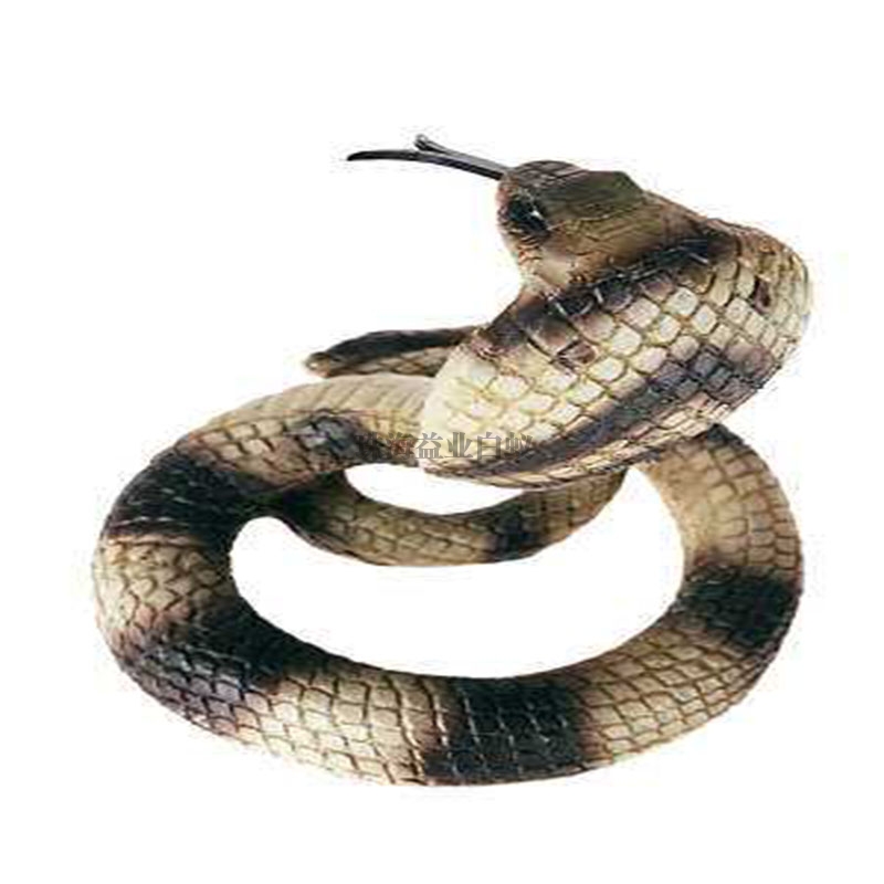 香洲驱蛇